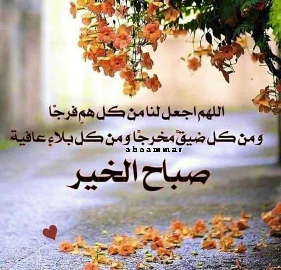 صبحكم الله بالخير
