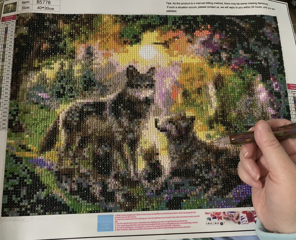 bonbonsandbooks's tweet photo. Working on my 23rd #diamondpainting it’s a #wolves 🙌✨! I’m doing it for my friend Bernadine wedding gift! Almost done ✔️!
.
.
.
.
.
#familytime❤️ #instagood #hollymi #myhobbies 💕 #bonbonsandbooks ✨ #diamonddotz #diamonddots https://t.co/lo7hIbfBKv