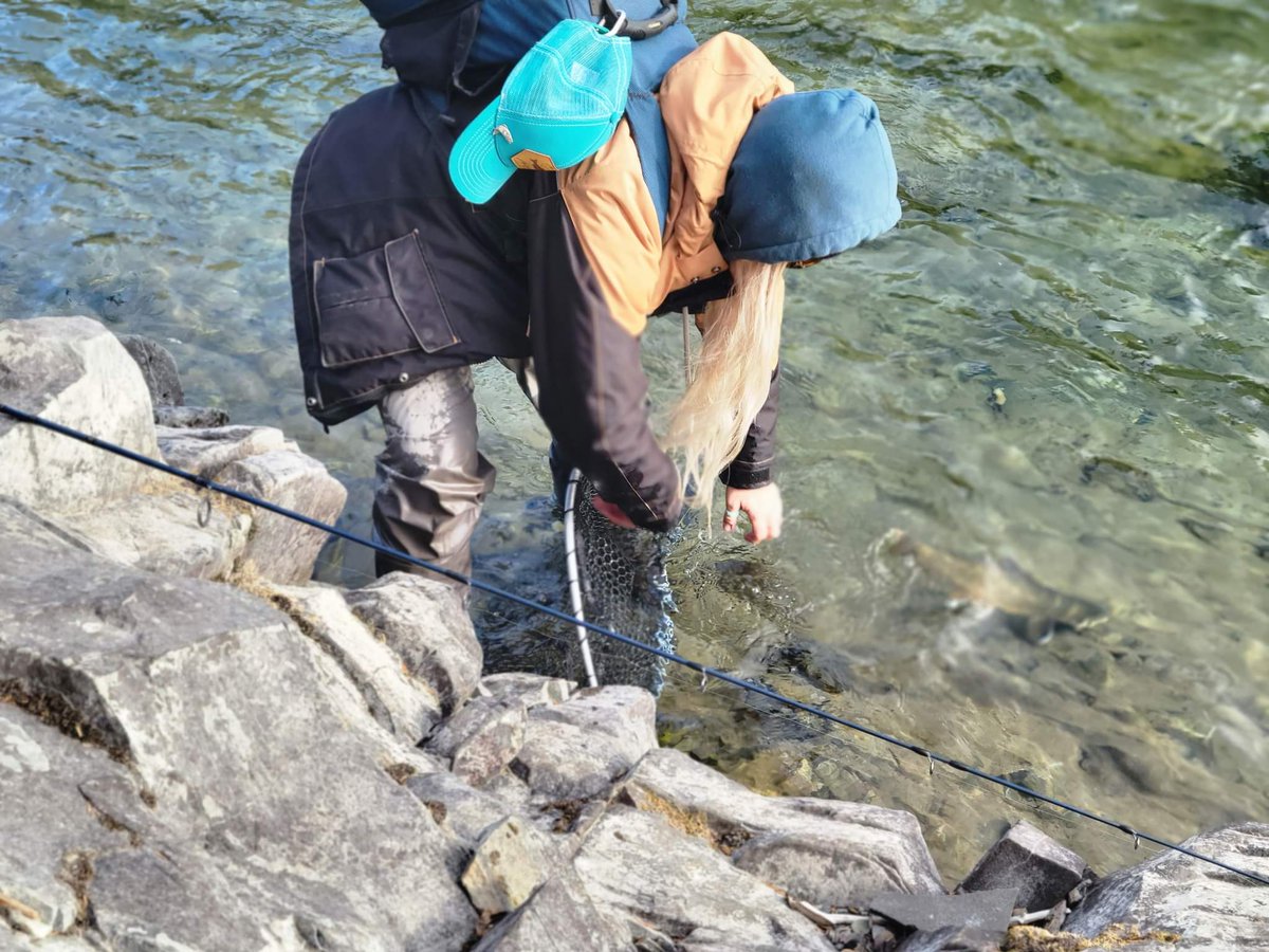 TashaEaglesham's tweet photo. Let em' go so they can grow! Great last day of the season in one of my favorite places!
#femaleangler #bulltrout #saveourslopes #mountainsnotmines #doingsomethinggreat #dsgfish @DSGOuterwear https://t.co/jAG74nBgyU