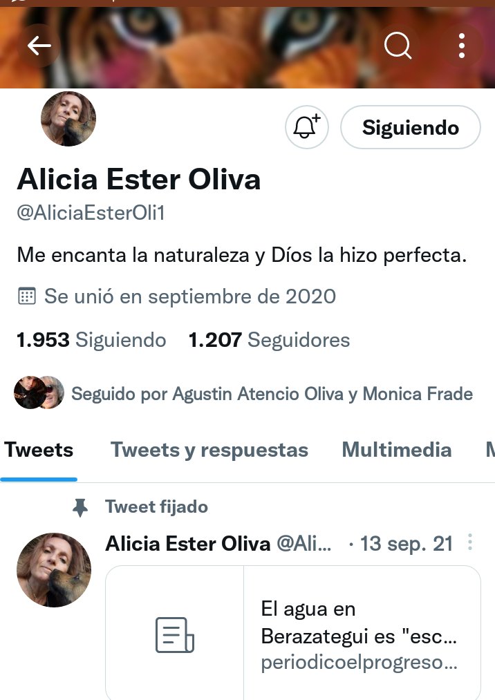 Aly E Oliva tweet media