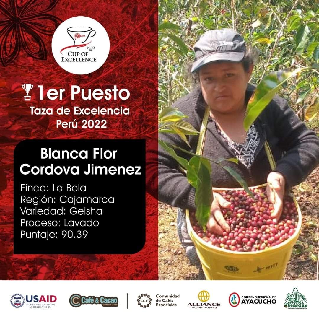 martinalcor's tweet photo. 🏆🍒¡EL MEJOR CAFÉ DEL PERÚ ES CAJAMARQUINO!☕

¡Blanca Flor Córdova Jiménez, productora caficultora del distrito de San Ignacio, Cajamarca de la finca "La Bola" es la ganadora de la VI Taza de Excelencia Perú 2022! La campeona participó con un grano en variedad geisha. https://t.co/uPK287ghlZ