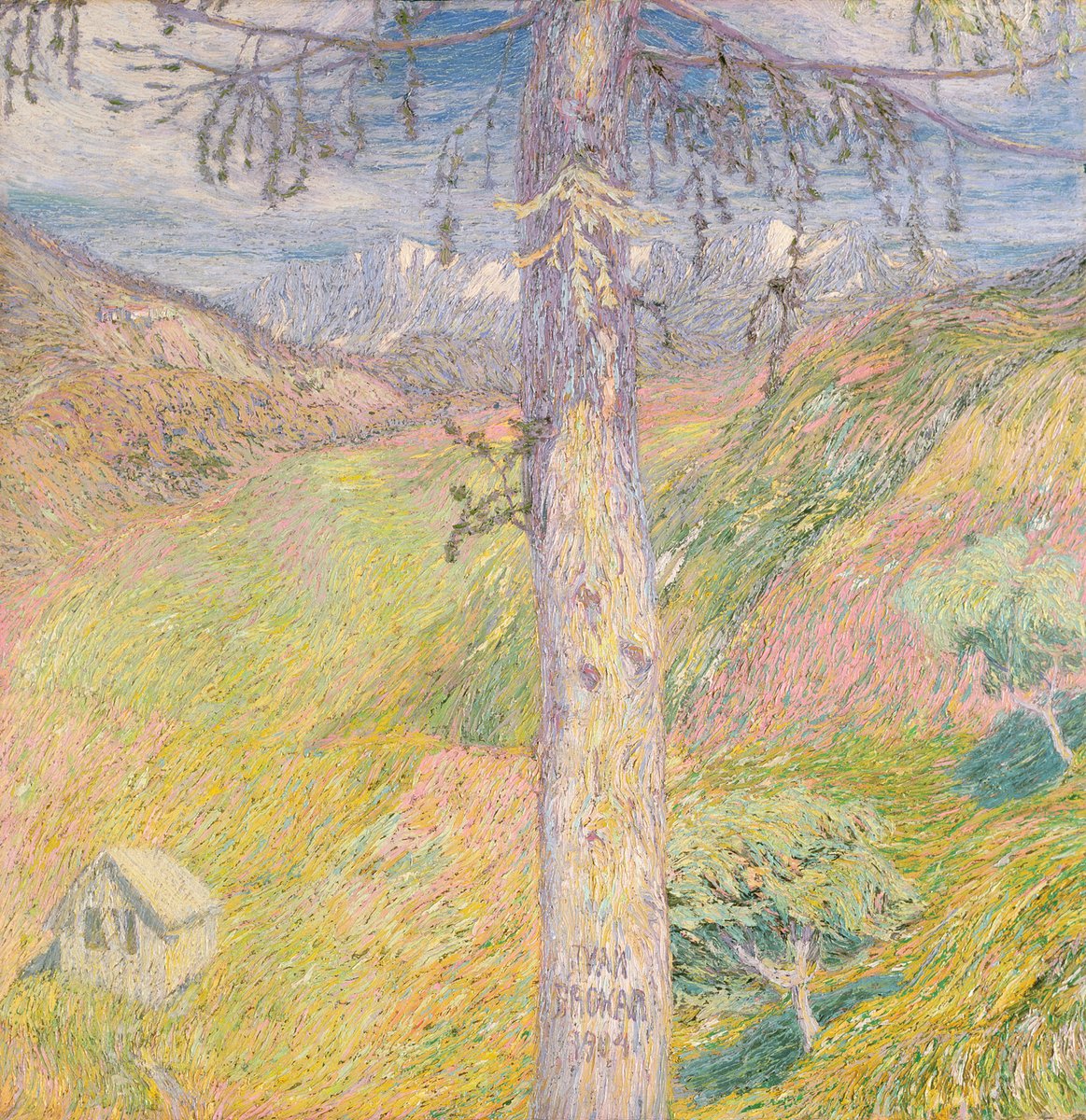 russianartbot's tweet photo. Larch, 1904 #ivangrohar #grohar https://t.co/6hxhQN4ngi https://t.co/2GXLpKKuaV