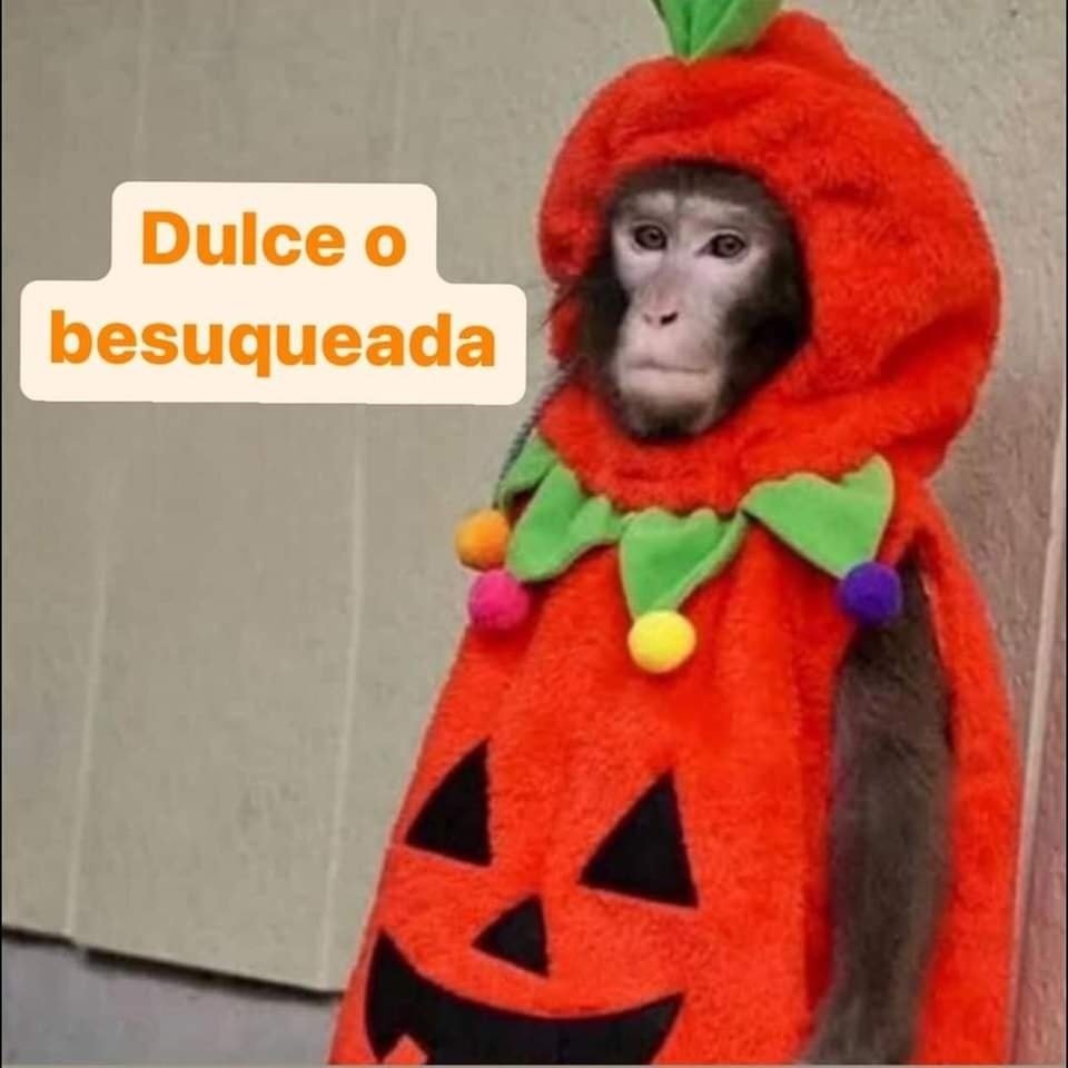 ‍ ‍‍𝓵𝐞̲𝐨̲𝐧𝐚𝐫𝐝𝐨. (@closvrending) on Twitter photo 