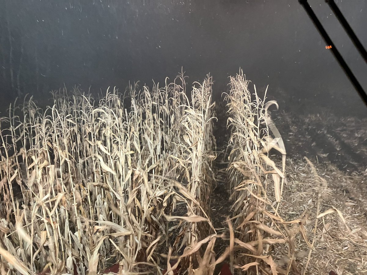 That’s it for #harvest22 it was a season filled with challenges and blessings. We thank The Lord for another bountiful harvest.