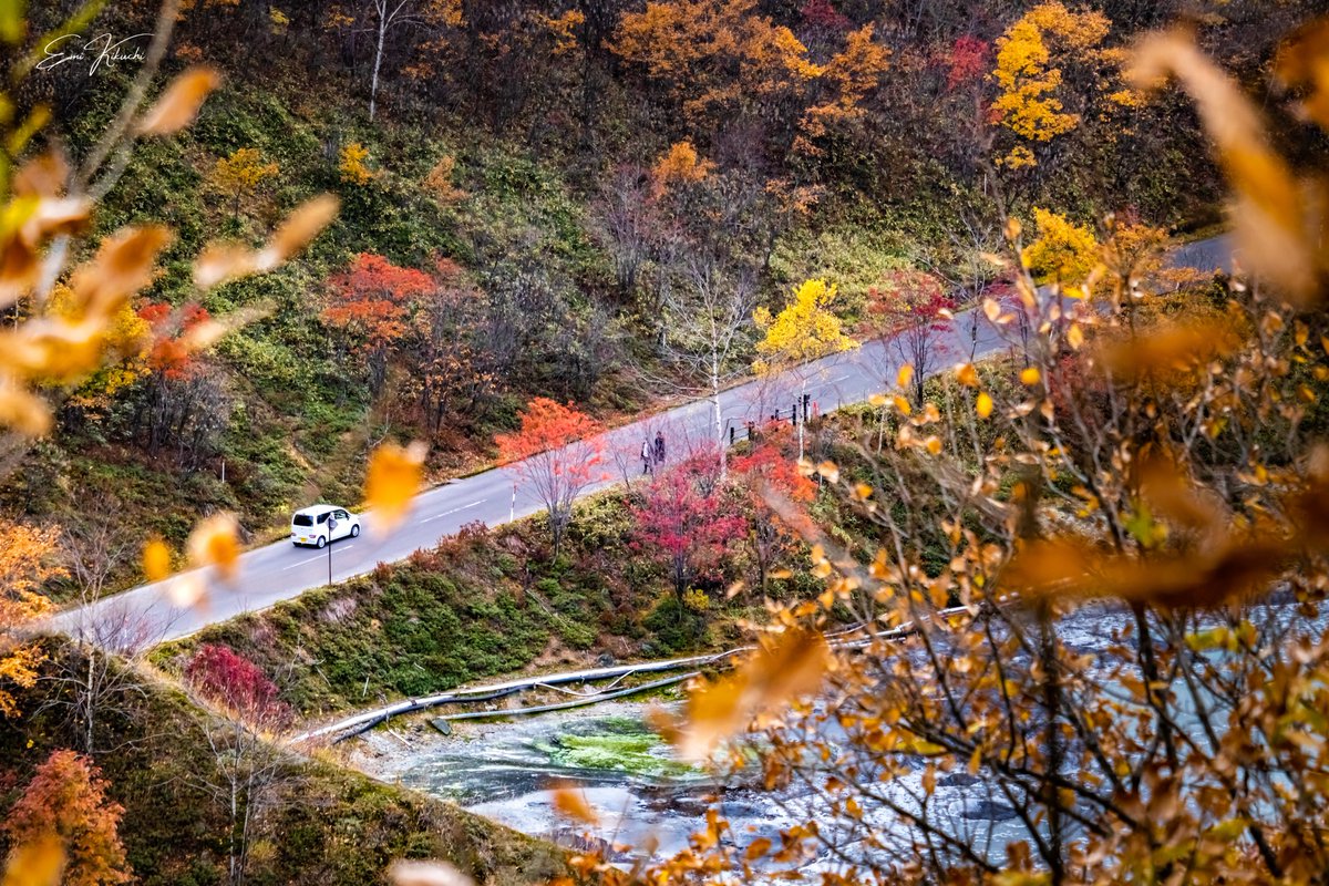 emin_kiss's tweet photo. Autumn Drive🍁🚘
── 2022/10/27 photographing ──
#北海道 #登別 #登別温泉 #大湯沼
#秋 #紅葉 #車 #ドライブ
#canoneoskissx10 #canoneos #canon #canonphotography #canoncamera #emin_kiss #japan #hokkaido #landscape #noboribetsu
#autumn #autumnaltints #car #drive https://t.co/9gusduEce5