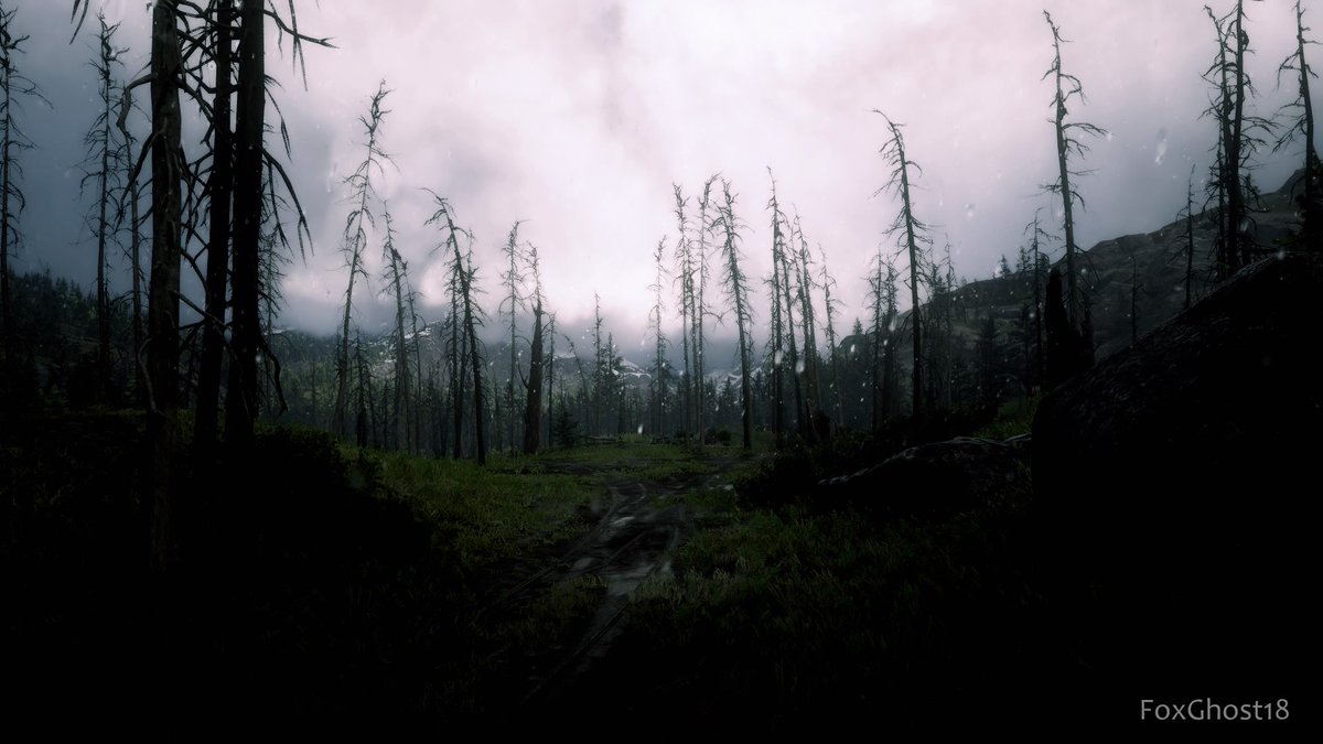 FoxGhost18🦊 tweet media