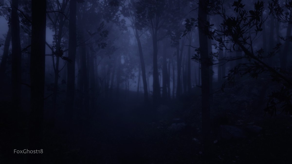 FoxGhost18🦊 tweet media