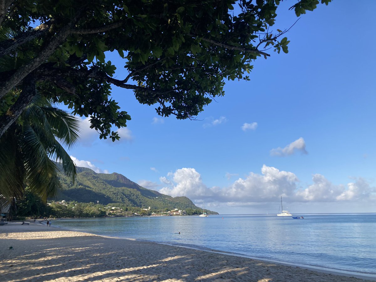 Dr. Ines Lange tweet media