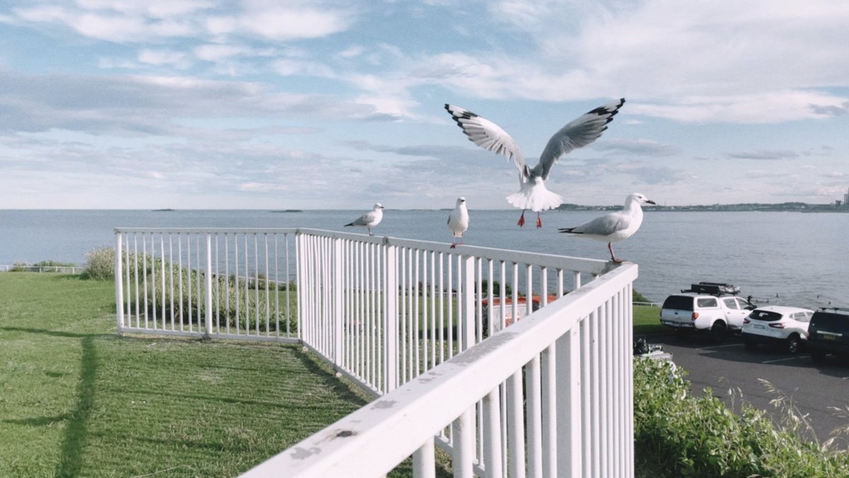 Coming from landlocked Switzerland, Laura’s loved living close to the beach in Australia. 

Many of her Australian friends don’t think twice about always having lived close to the ocean. 

Have you always lived by the beach?

#whatshidden #jrnl102