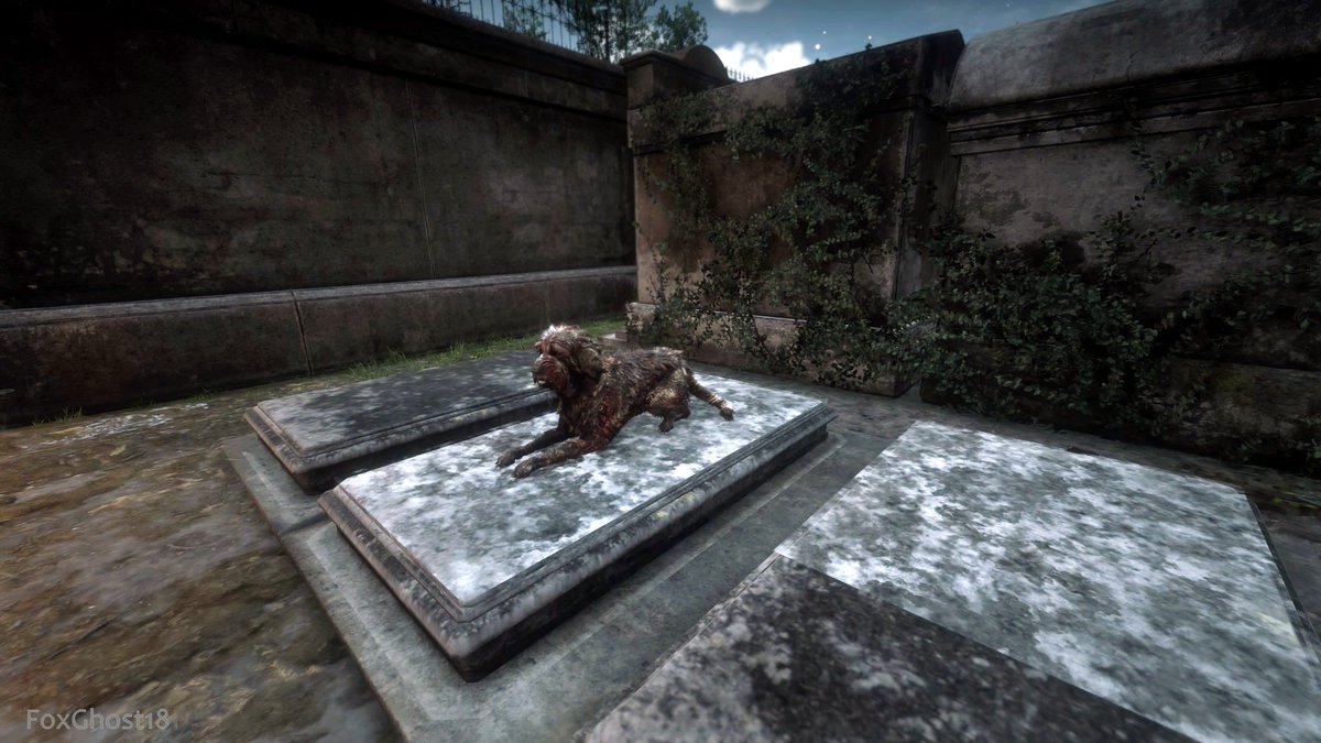 FoxGhost18🦊 tweet media