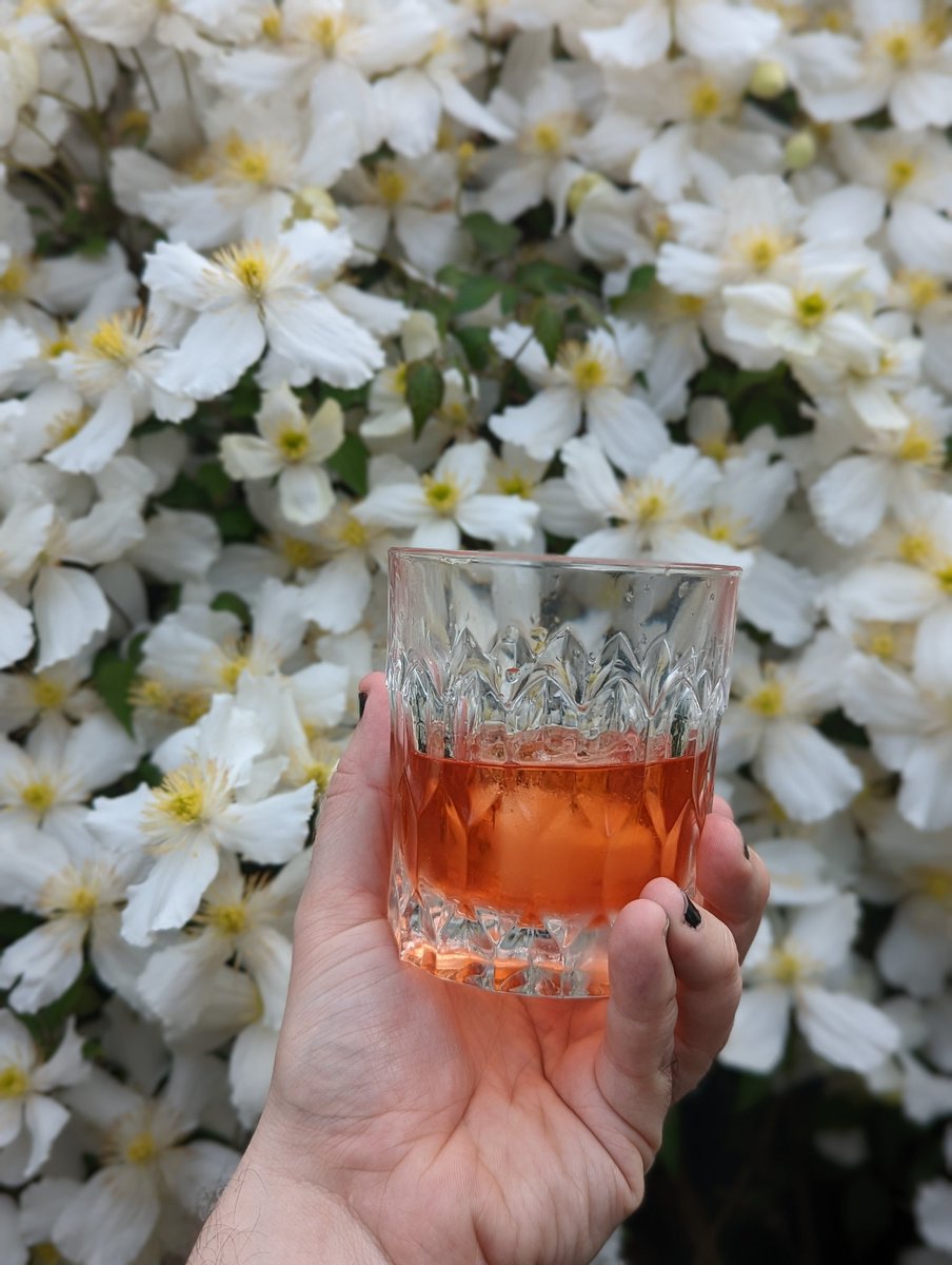 ElixirLibris's tweet photo. And to celebrate, I made this delicious Old Gods Old Fashioned. Rye and the very last of my Calvados, with peychauds bitters and a smoky scotch float. Drinking it won't bring back your apples, though. https://t.co/AaMv0wckZl