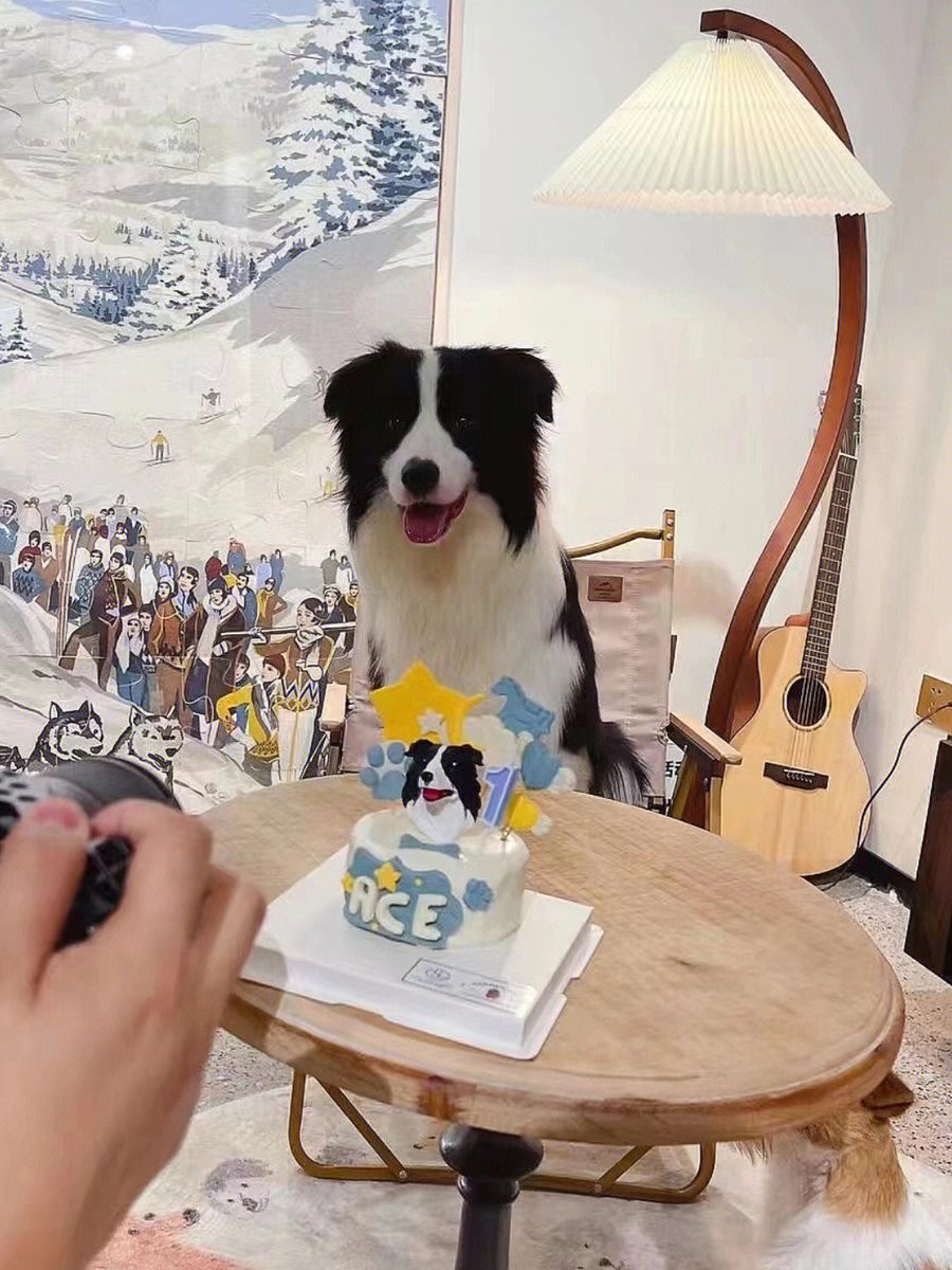Qingdaozta0s's tweet photo. aww ace celebrated his birthday and they made a cake for him (though I don't know when was this) https://t.co/BzuBYYTDIu