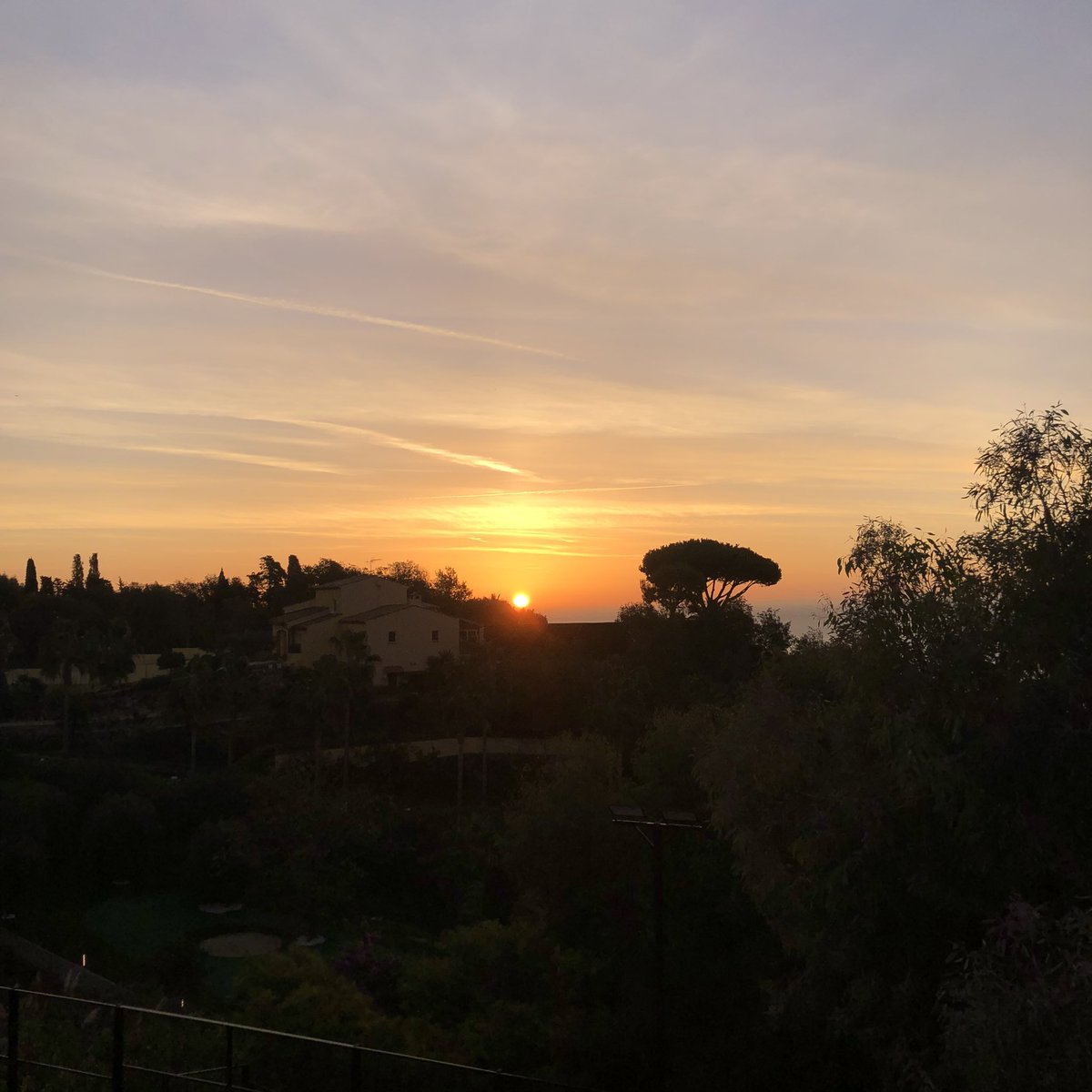 Dilaw 🤌 tweet media