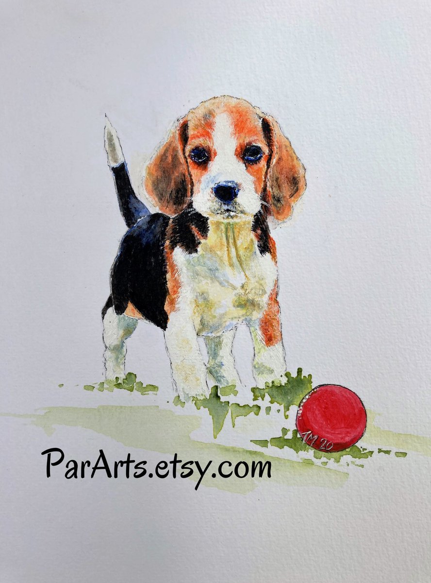 Give this little one some love 🐶🔴

etsy.me/3DsIVYu

#beagle #dog #beaglepuppy #puppy #dogs #beagles #beaglepuppies #doglover #dogportrait #beagledog #puppydog #doglife #petlovers #lovepuppies #cutedog #dogart #petportrait #petart #animalart #dogpainting #doglovers