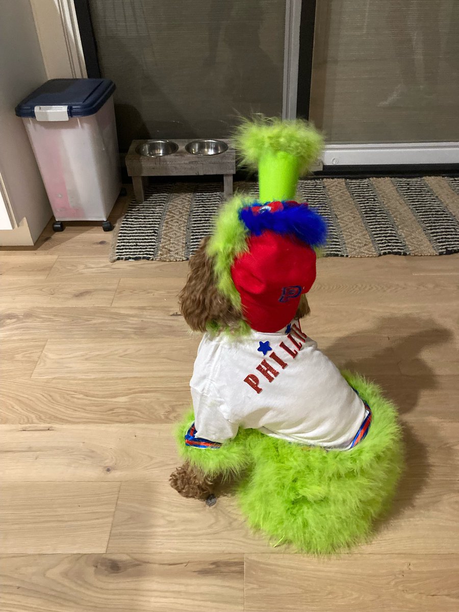 Culphasclass's tweet image. The Phanatic’s cutest fur fan! Happy Halloween! @Phillies @FOX29philly