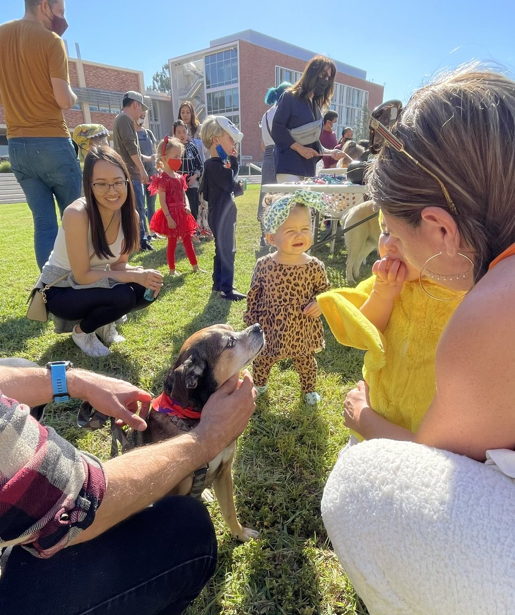 Adam Alghalith tweet media