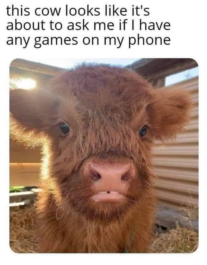 😭😭😭