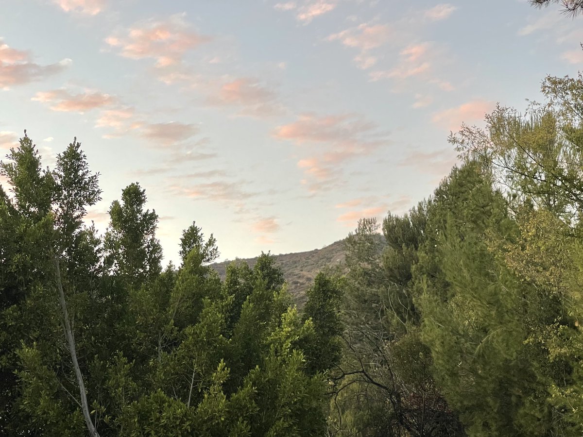 PHShriver's tweet photo. This view today beats 3 years ago #gettyfire forced us to evacuate. We are grateful so far our fire season has been minimal. 🙏🏼🙏🏼🙏🏼 https://t.co/Rmi8r2XeKT