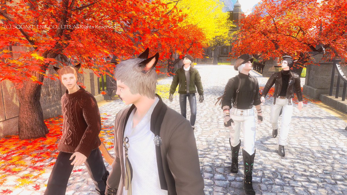 QooTake0's tweet photo. 昨日の夜、KKの皆さんと #ゼロムス並木道 をお散歩してきました🍁紅葉した木々と青空のコントラストが綺麗だった☺️
(4枚目、急いで撮ったらターゲットの黄色い線が…😭)
#CWLS_KK https://t.co/Wrq245VhAm