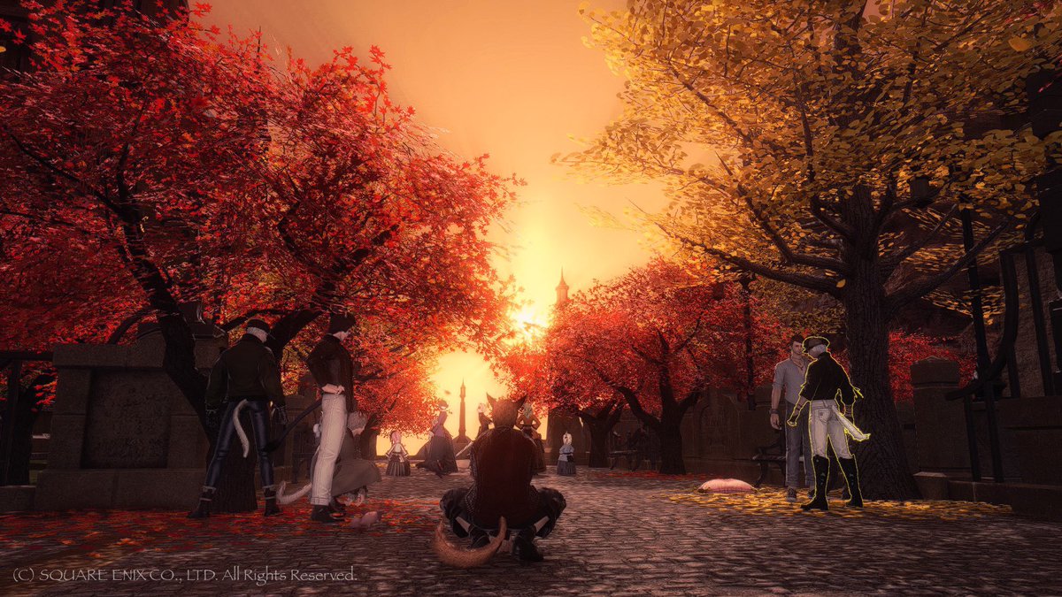 QooTake0's tweet photo. 昨日の夜、KKの皆さんと #ゼロムス並木道 をお散歩してきました🍁紅葉した木々と青空のコントラストが綺麗だった☺️
(4枚目、急いで撮ったらターゲットの黄色い線が…😭)
#CWLS_KK https://t.co/Wrq245VhAm