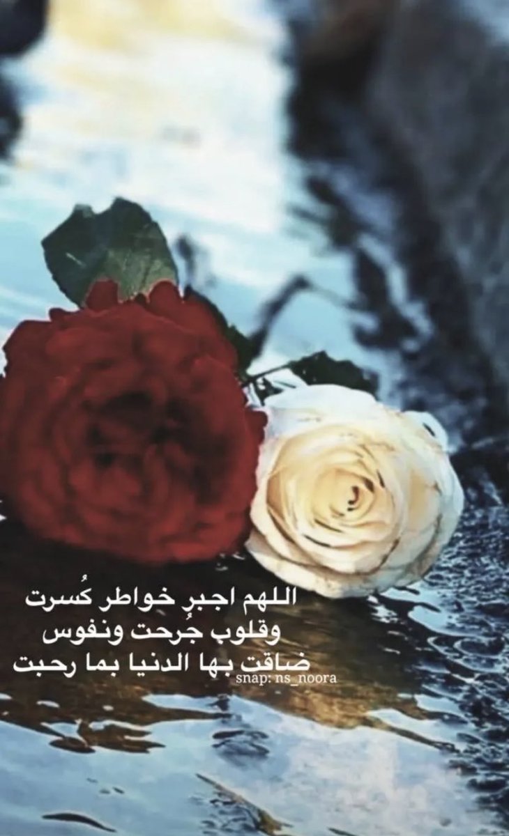 رواء العتيق 📸🎻 (@roorooo109) on Twitter photo 