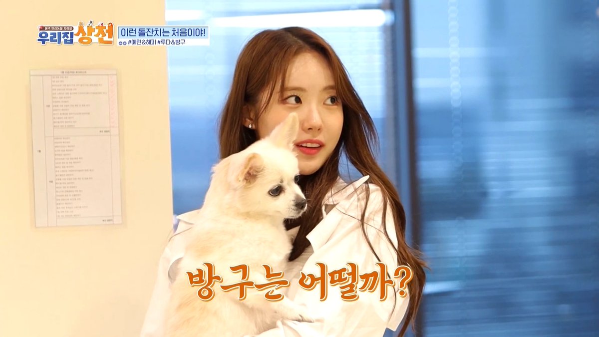 wjsnglobal's tweet photo. A green alien? 👽👽👽 [Boss Pet : EP.18-1] | KBS WORLD TV 221029
https://t.co/0J32pPHsji
#우주소녀 #WJSN #이루다 #루다 #Luda #방구 #banggu #우리집상전 #bosspet #ボスペット @WJSN_Cosmic https://t.co/yopos1JMFO