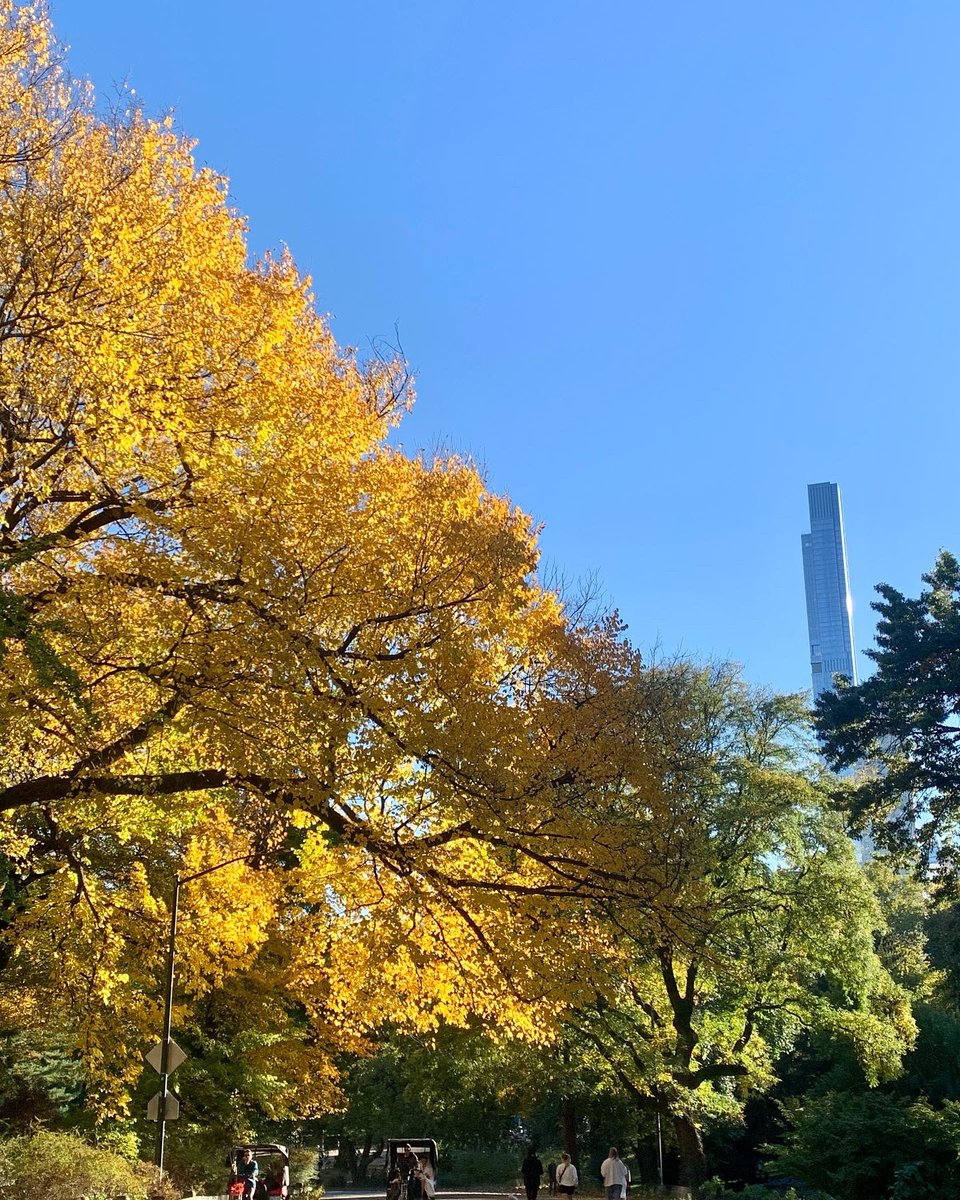 I colori dell’autunno a #CentralParkFoliageWatch #Manhattan