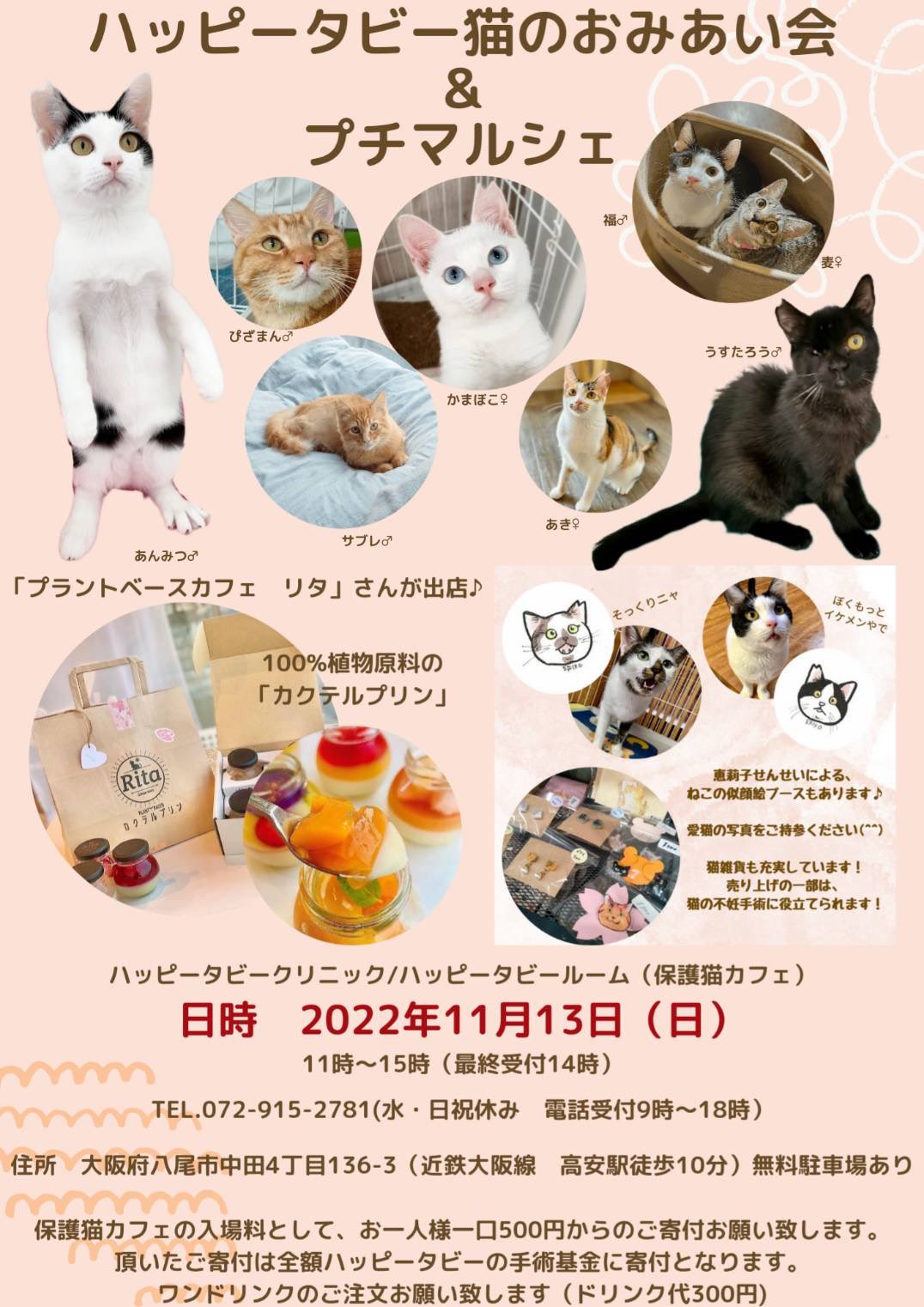 猫総合相談センターハッピータビー Tabbyclinic Twitter