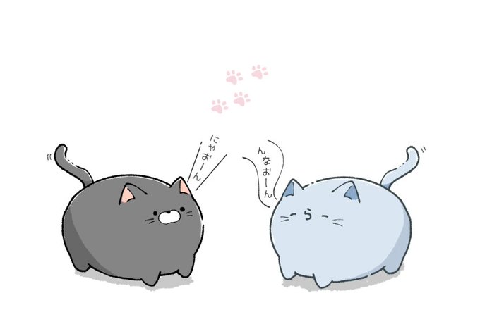 猫🐈‍⬛
 #い・らくすと 