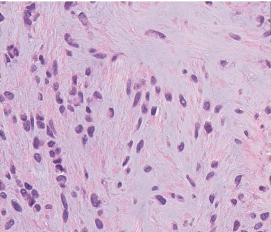 HENRYY_MD's tweet photo. #AFCMT #asdp22 continued https://t.co/IEuMD8WID3
