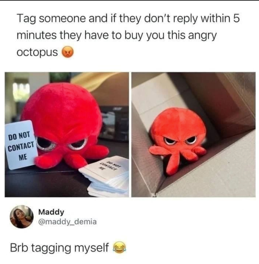 The Grumpy Octopus (@agrumpyoctopus) on Twitter photo 
