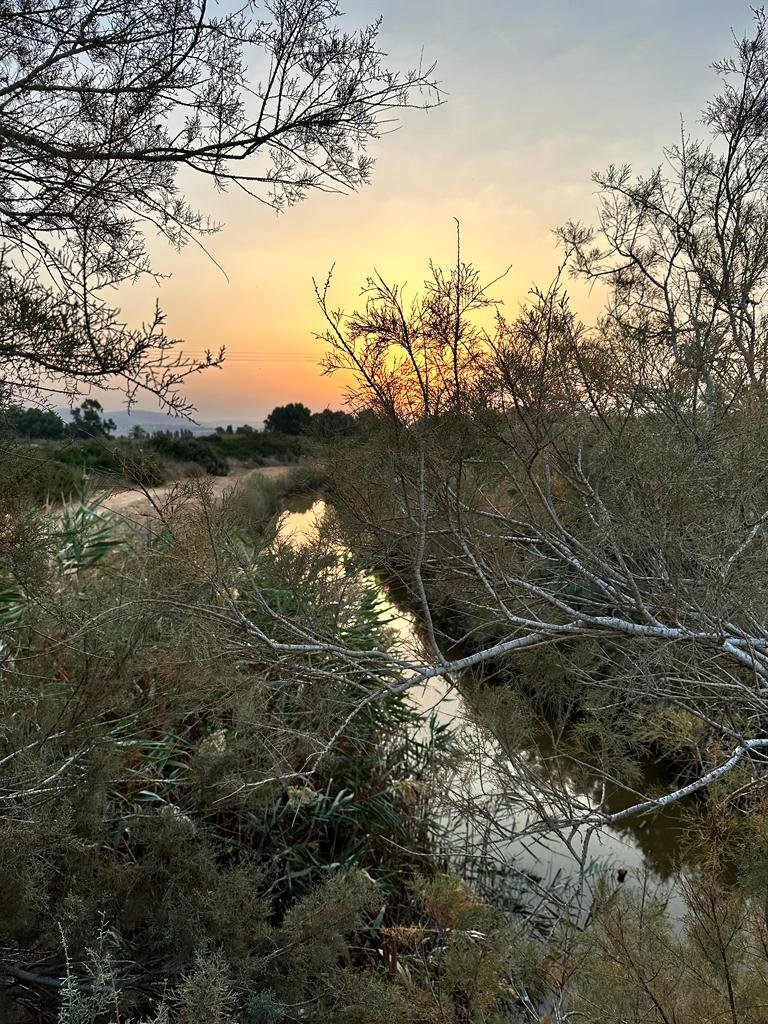 orenlevko's tweet photo. אני רוצה להודות ליקום שקיבלתי אבא שבמקום לדבר איתי על פוליטיקה, שולח לי צילומים שלו מההליכה בבוקר: https://t.co/jDzykNMTWU