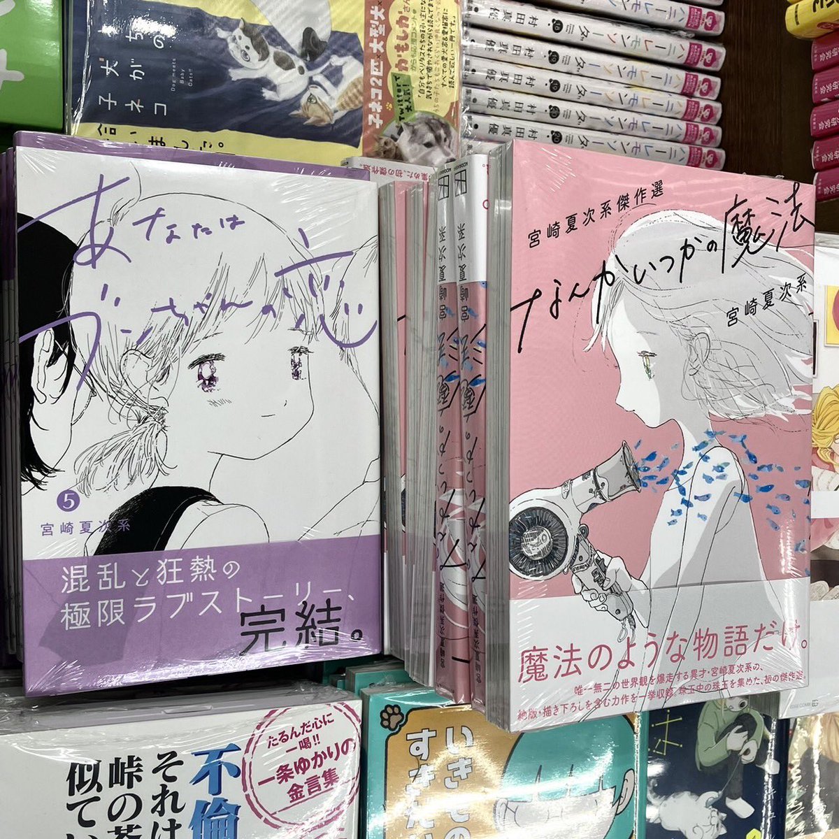 東京・阿佐ヶ谷駅すぐそばの名物書店「書楽」さん新刊漫画コーナーにて、宮崎夏次系最新刊『あなたはブンちゃんの恋』5巻&『なんかいつかの魔法』をご展開いただいております。

ブンちゃんは、1〜5巻全巻揃って置いていただいていて感激です!! 