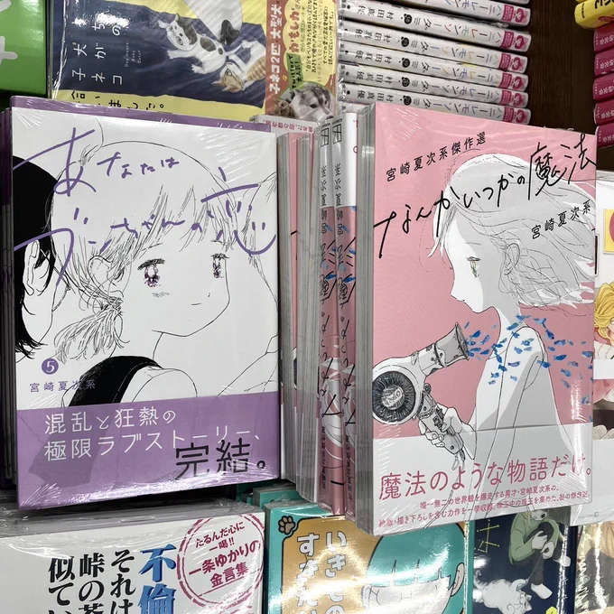 東京・阿佐ヶ谷駅すぐそばの名物書店「書楽」さん新刊漫画コーナーにて、宮崎夏次系最新刊『あなたはブンちゃんの恋』5巻&『なんかいつかの魔法』をご展開いただいております。ブンちゃんは、1〜5巻全巻揃って置いていただいていて感激です!! 