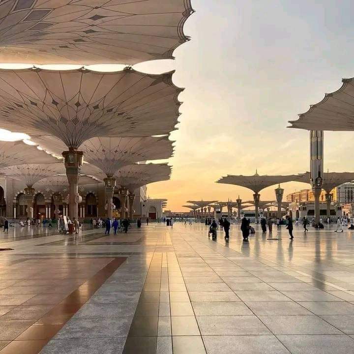 777O_'s tweet photo. أعرف أن النبوّة الأخيرة لم تكن تليقُ إلا بكَ ، وأنّ إخوتكَ الأنبياء إذ سبقوكَ مجيئاً فقد سبقتهم مقاماً ، جئتَ أخيراً لتكونَ أولاً ، فالرسالاتُ لا بُدّ لها من مسكِ ختام، وحينَ يرادُ بالمسكِ أن يكونَ بشراً، فمن عساه يكونُ غيرُك ❤ .. 
صلُّوا عليهِ و سلِّموا تسليماً كثيراً .. https://t.co/bIOmGV2Zaq