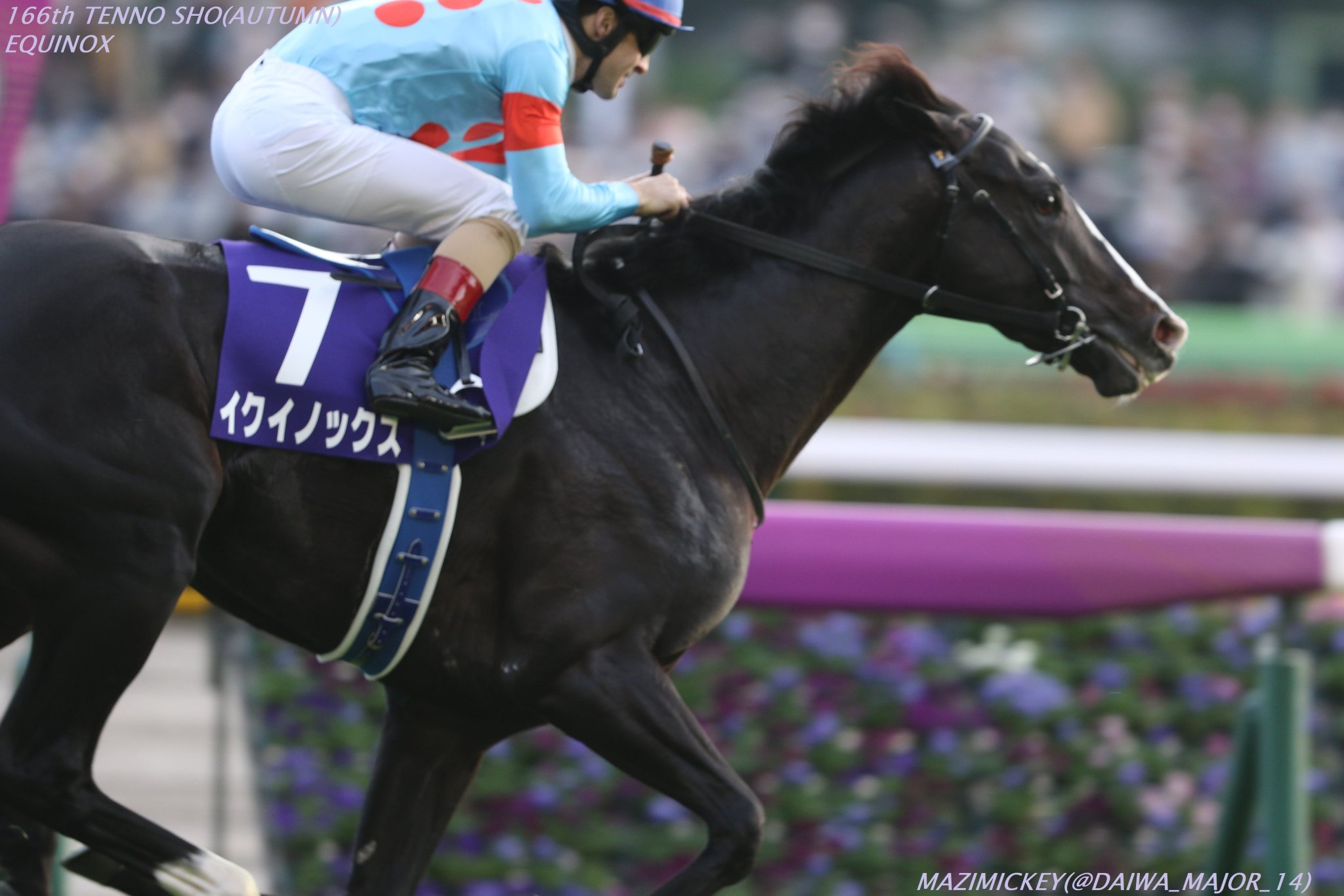 マジみっきー on Twitter