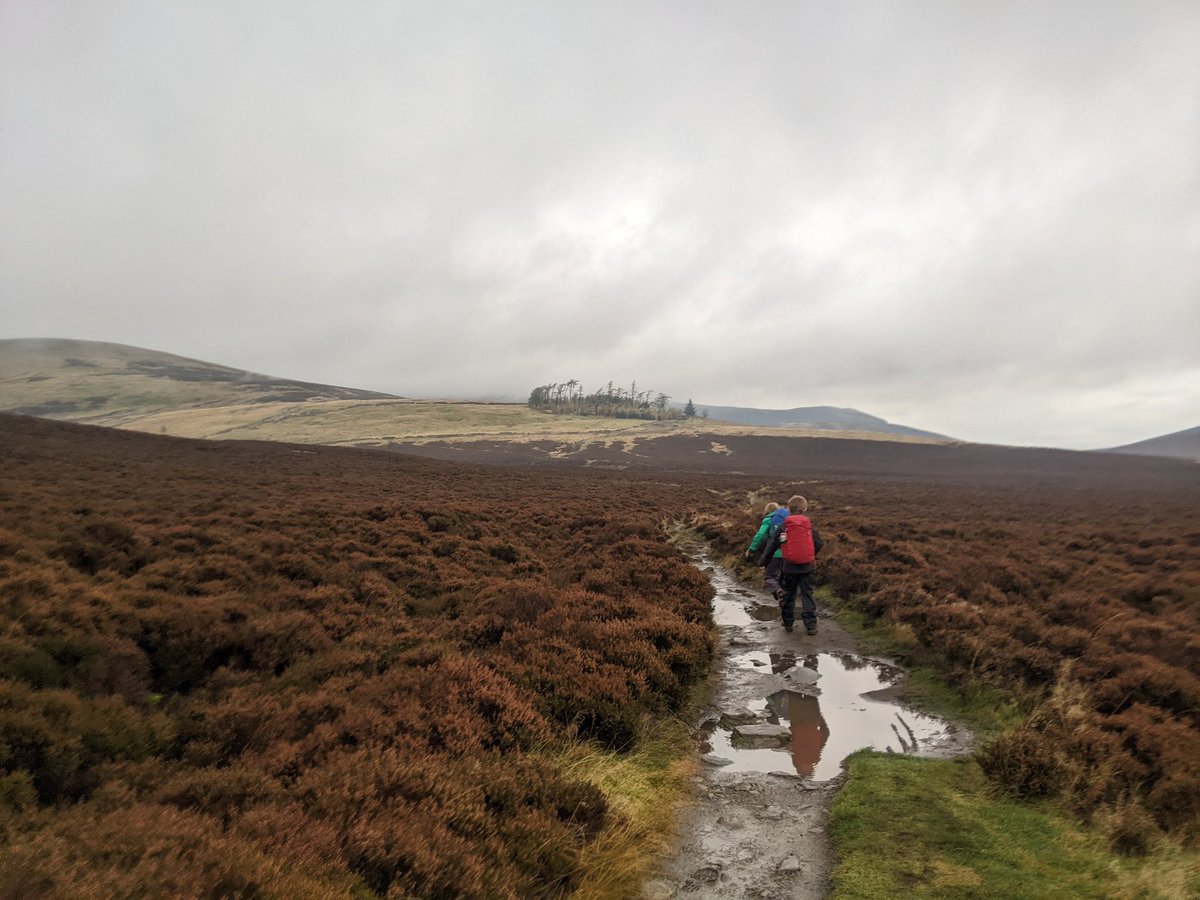 laurenexplores1's tweet photo. We stayed @SkiddawHouseYHA this week. What a place! Surrounded by beautiful fells, walking in is part of the adventure. So exciting to crest a hill &amp; see it surrounded by trees in the distance. A warm welcome from Sue &amp; her pup, some grub &amp; log burners. Amazing! Check that view! https://t.co/dii2twssO3