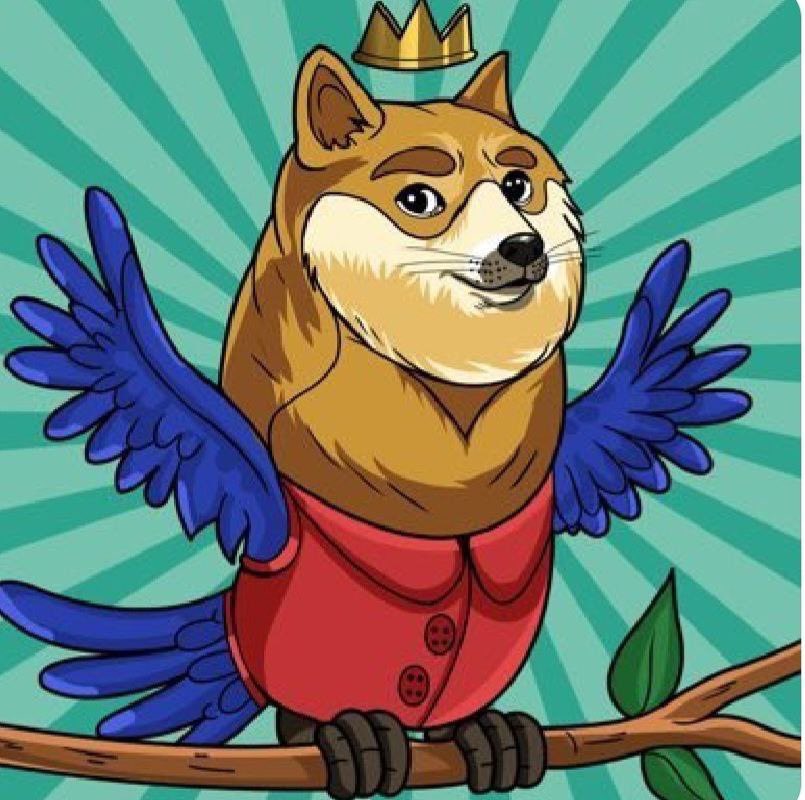<a href="/twogeinu/">Twoge Inu 🐦+🐶</a> Sheesh things are starting to heat up! We here to support you <a href="/twogeinu/">Twoge Inu 🐦+🐶</a> our community is fire and rewards with 2% in #TwogeInu ✅