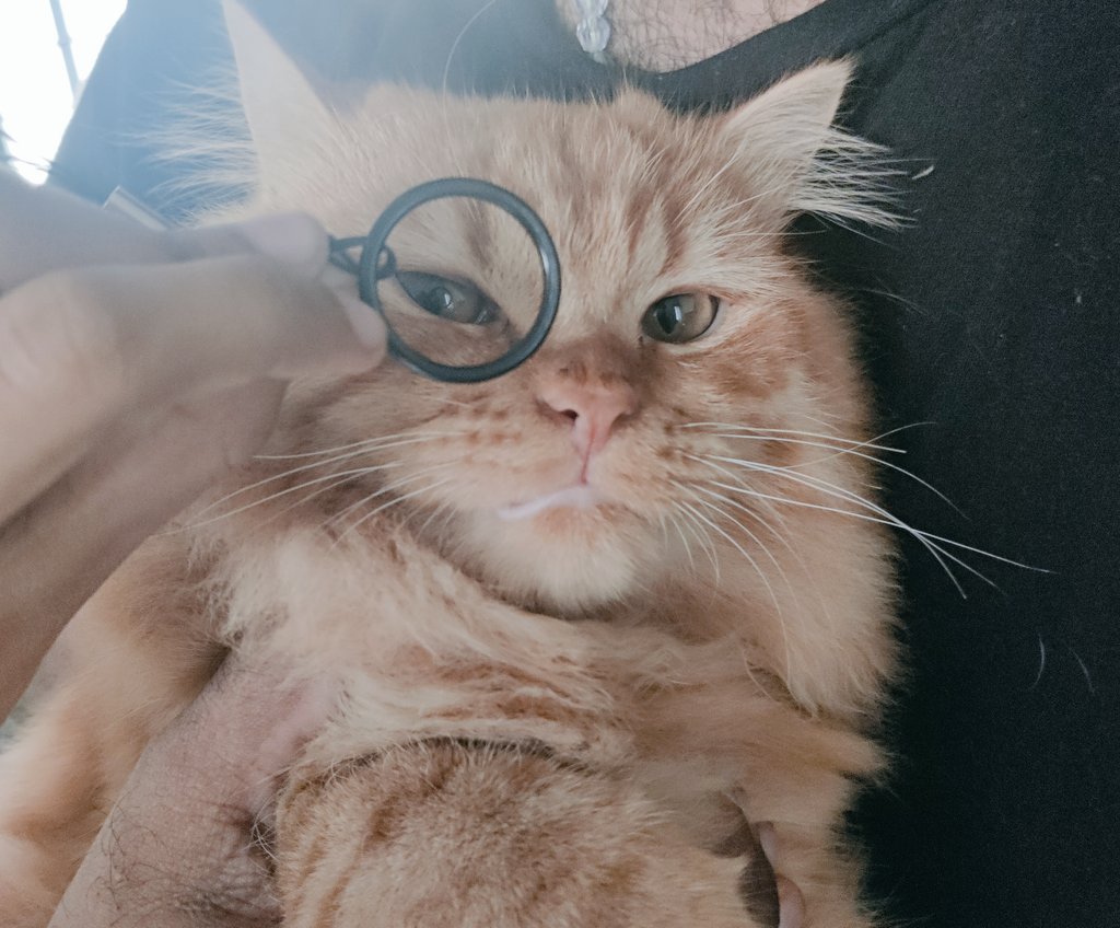 Relackssss's tweet image. October dump 🐠