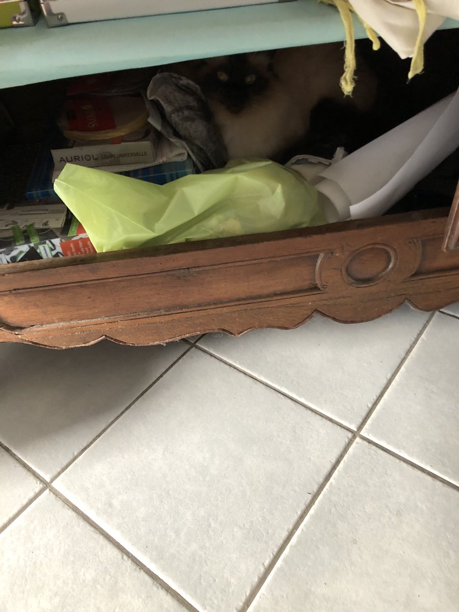caroline_kam's tweet image. Kicéki ne referme pas la porte de l armoire… #chatcaché