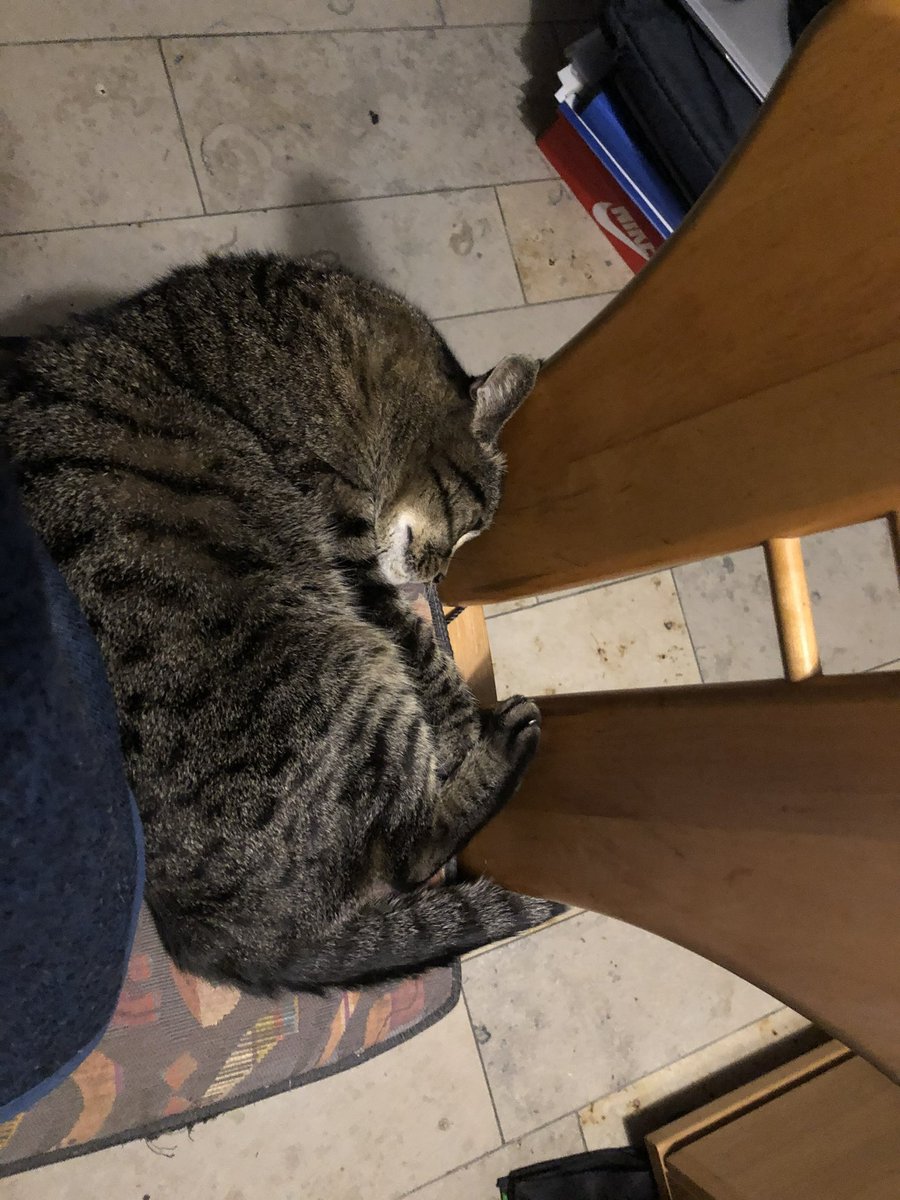 Allenwinden360's tweet photo. @pullox9 Had a hundred places to sleep and what’s best? The chair I am already using. https://t.co/WG5QAriDIO