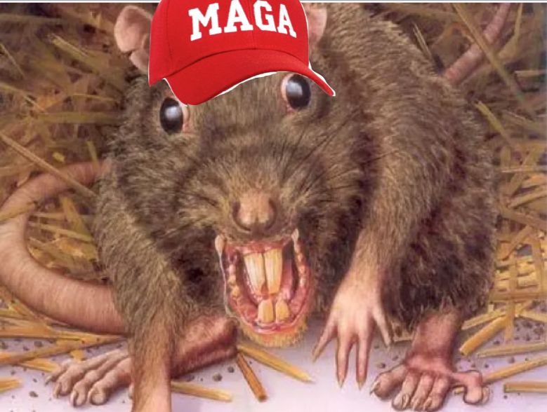 ReecesPieces8's tweet photo. Plague of Rats https://t.co/3diUHwTEsB