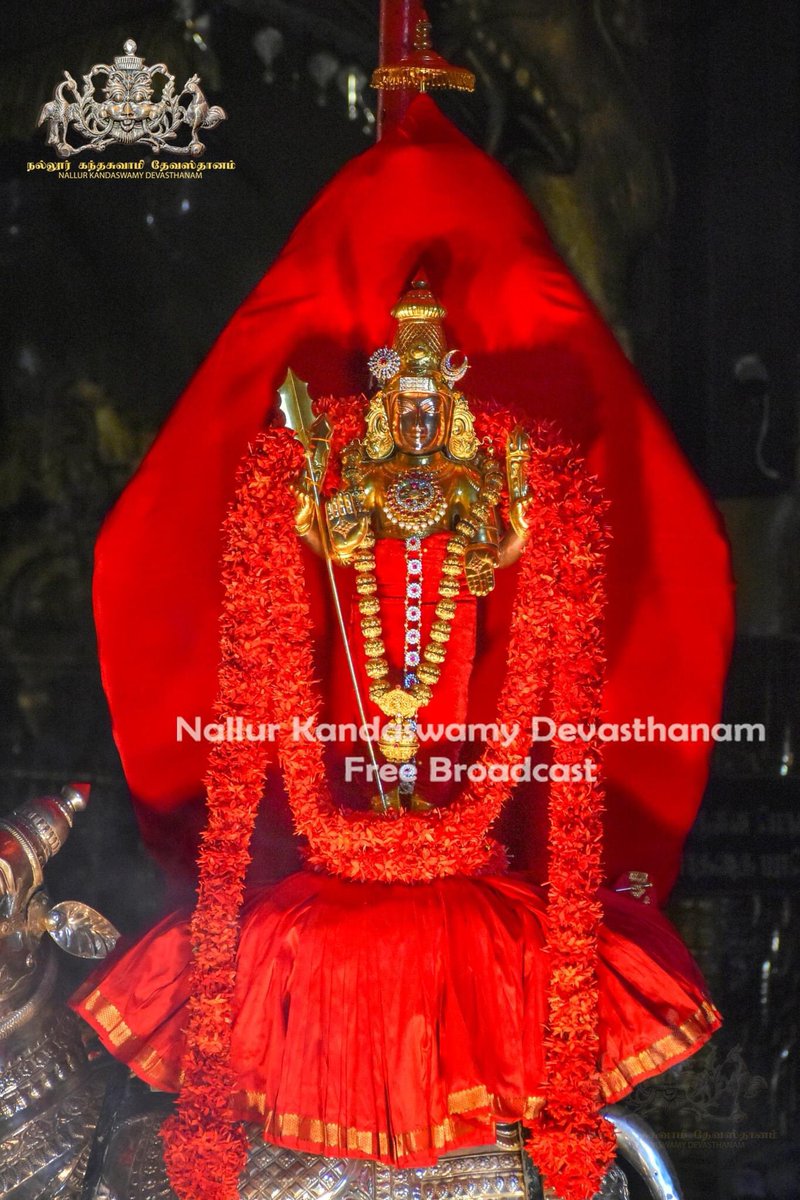 NallurTemple's tweet photo. 🙏🏼 #ௐ #முருகா #நல்லூர்முருகன்துணை  #நல்லூர்கந்தன்துண�� #நல்லூர் #யாழப்பாணம் #Nallur #Jaffna #SriLanka #Worship https://t.co/0UZ2tHveVc