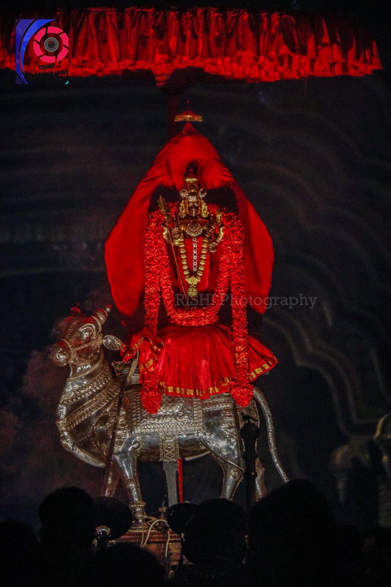 NallurTemple's tweet photo. 🙏🏼 #ௐ #முருகா #நல்லூர்முருகன்துணை  #நல்லூர்கந்தன்துண�� #நல்லூர் #யாழப்பாணம் #Nallur #Jaffna #SriLanka #Worship https://t.co/0UZ2tHveVc