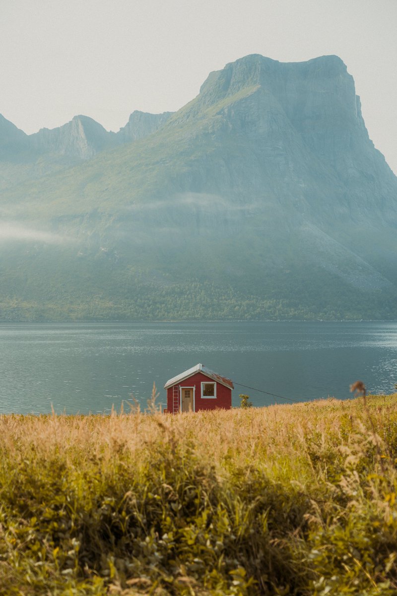 Wish you all a nice and sunny sunday ☀️