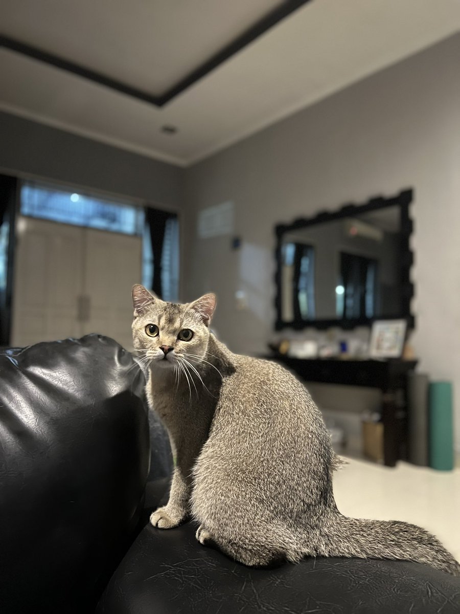 Thor : POV lagi liat video cukur kumis