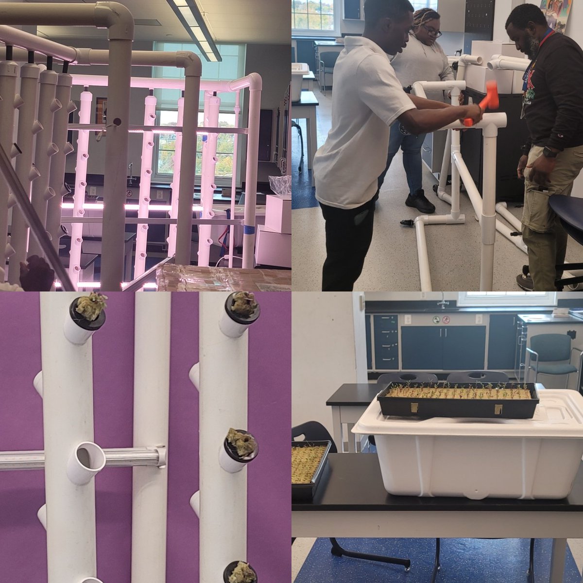 Rian Reed, MBA, NBCT, Ed.S tweet media