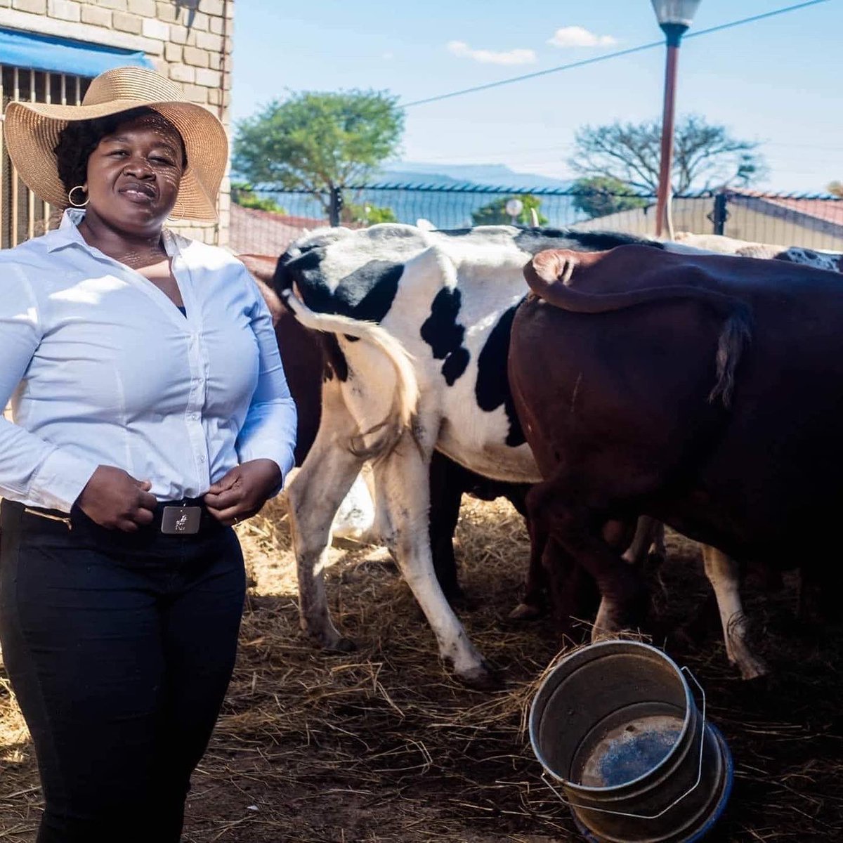 Ntombikayise Mndawe from Manyeveni in Mpumalanga is a farmer &amp; Animal Production Lecturer. She helps people start their own farming (pigs, goats, chickens, &amp; sheeps), Ntombi can be reached at santwe88gmail.com or 0829550243.
#farming #agriculture #agribusiness Zuma Misuzulu