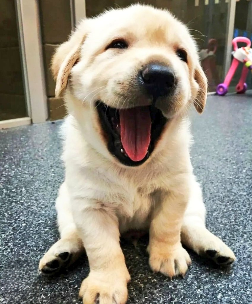 Per me
il sorriso fa
vivere il mondo.

💚