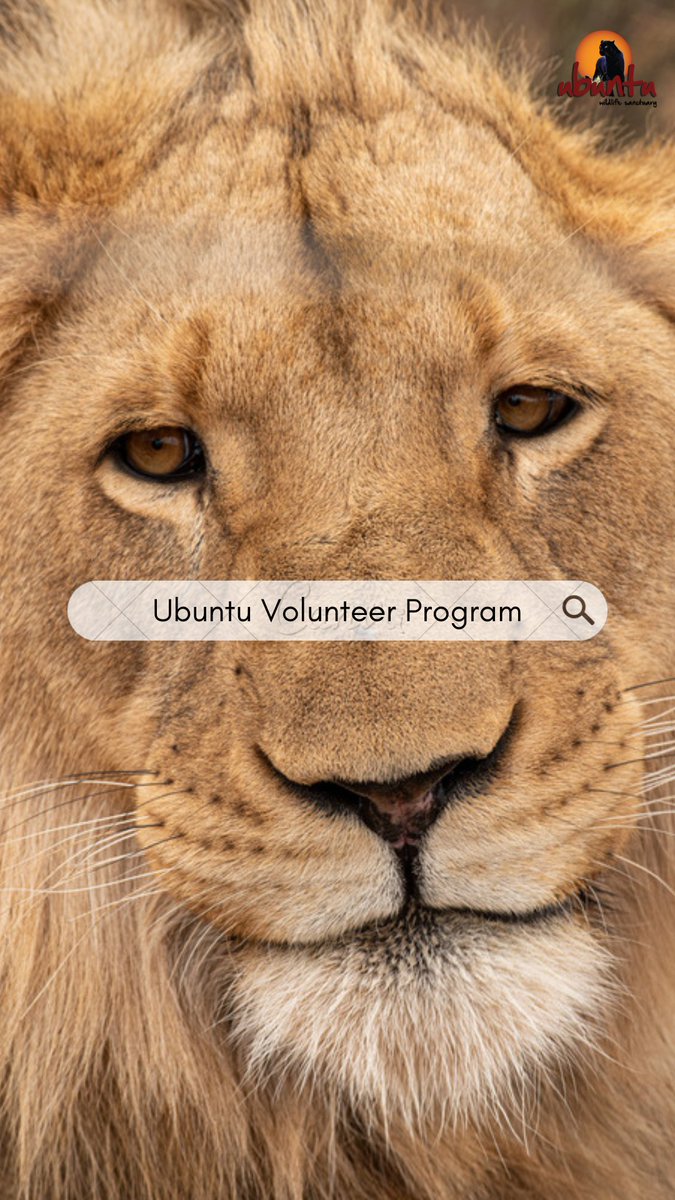 Ubuntu Wildlife Sanctuary tweet media